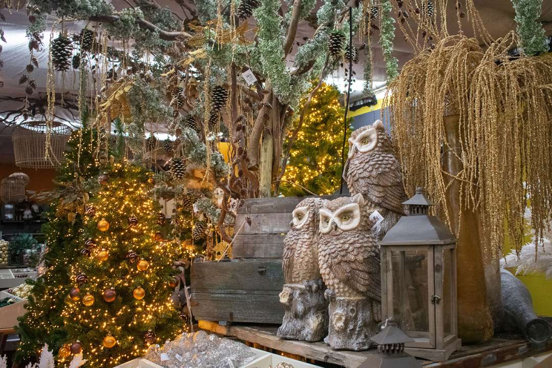 Kerstversiering kopen | Tuincentrum De Driesprong Zoetermeer