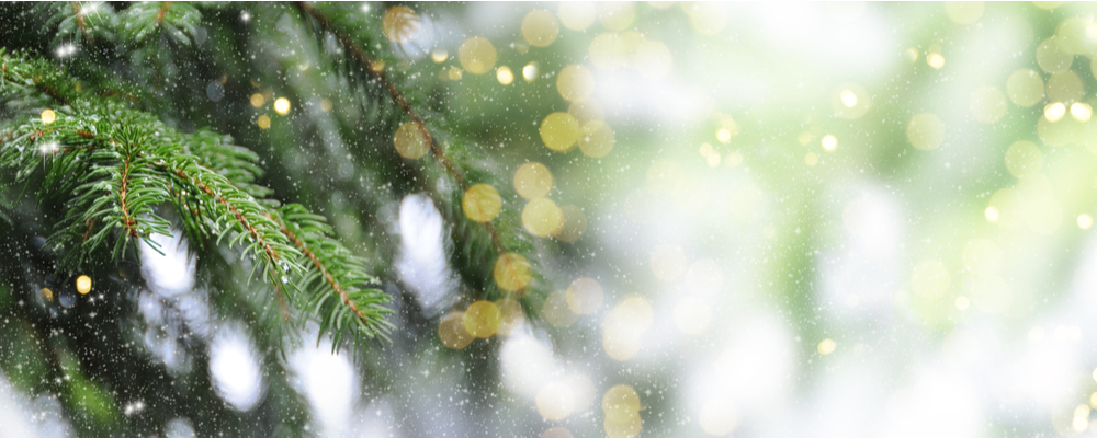Kerstverlichting kopen | Tuincentrum De Driesprong Zoetermeer