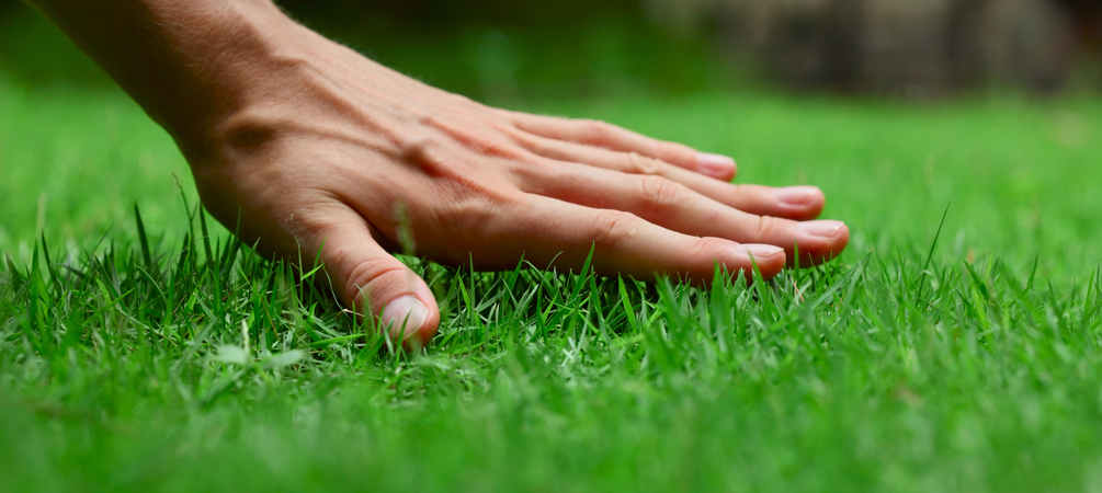 je gras onderhouden? Dat doe je zó je gras onderhouden? Dat doe je zó