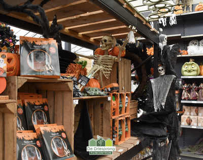 Halloween is gearriveerd bij De Driesprong
