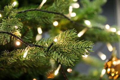 Hoeveel lampjes in de kerstboom?