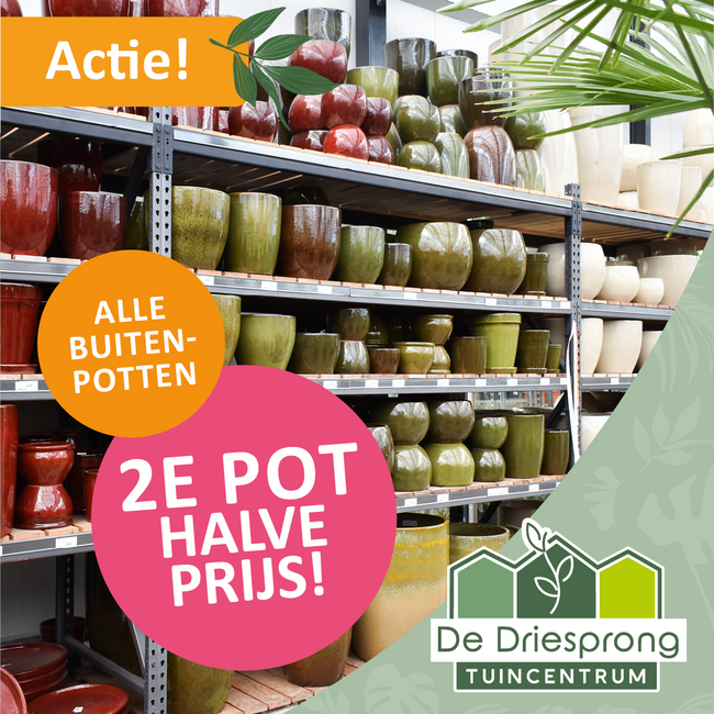 Alle buitenpotten: 2e pot halve prijs!