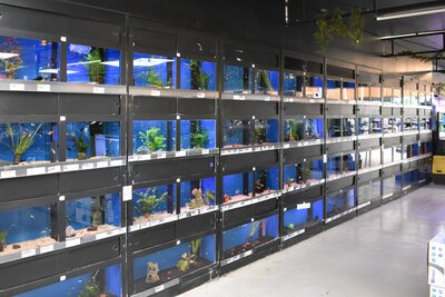 Dierenwinkel