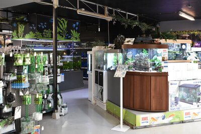 Dierenwinkel