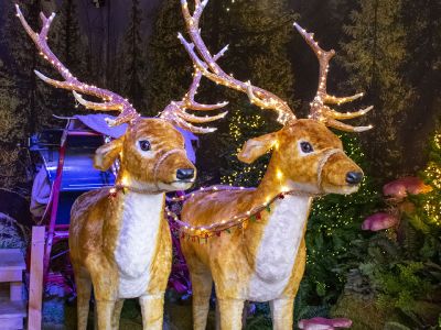Kerst 2021