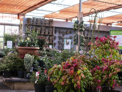 Onze winkel