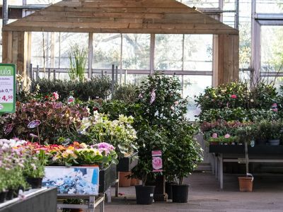 Onze winkel