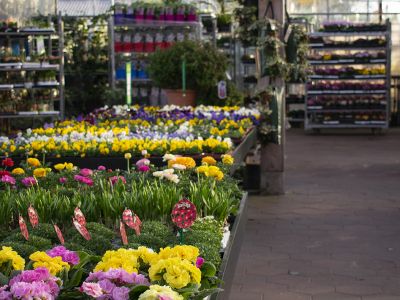 Onze winkel