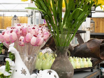 Onze winkel