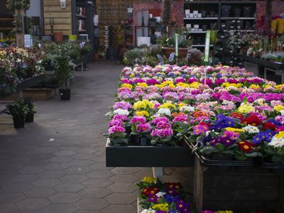 Onze winkel