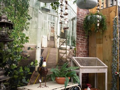 Onze winkel