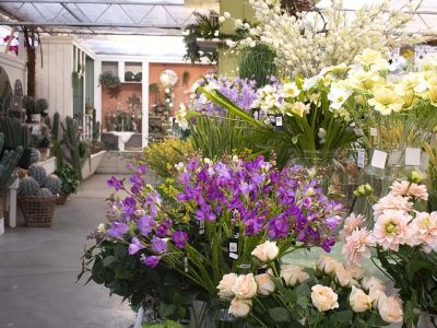 Onze winkel