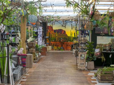 Onze winkel