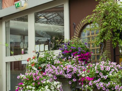 Onze winkel