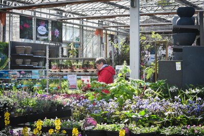 Planten