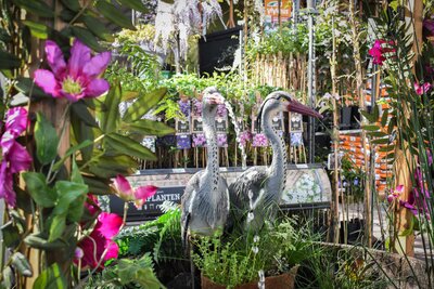 Planten