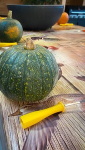 Pompoen workshops