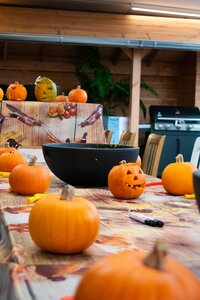 Pompoen workshops
